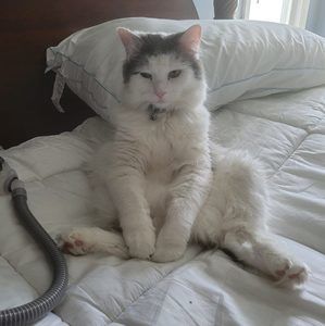 Meet your Posher, Brenda